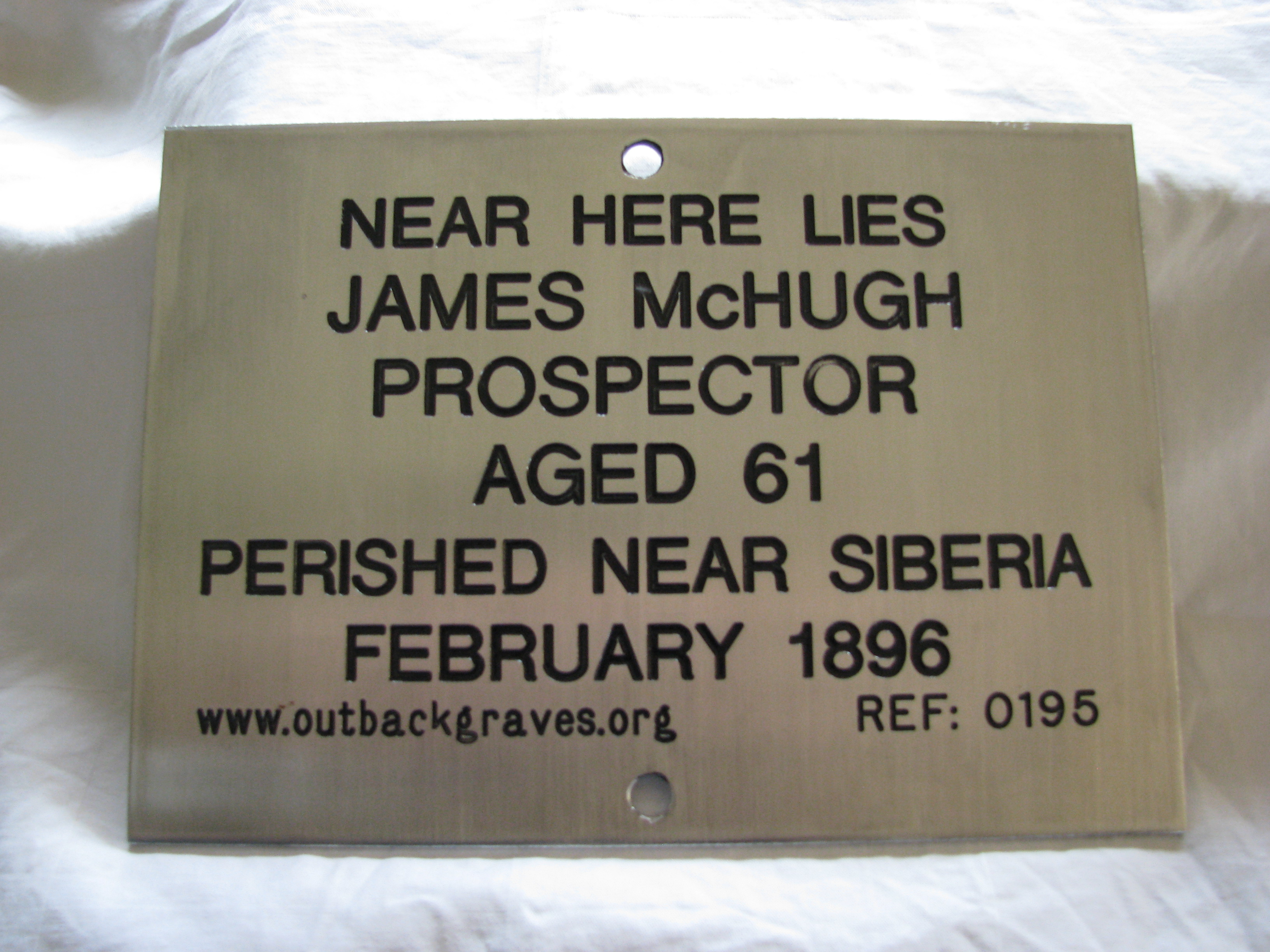 This is a photograph of plaque number 195 for JAMES McHUGH at SIBERIA
