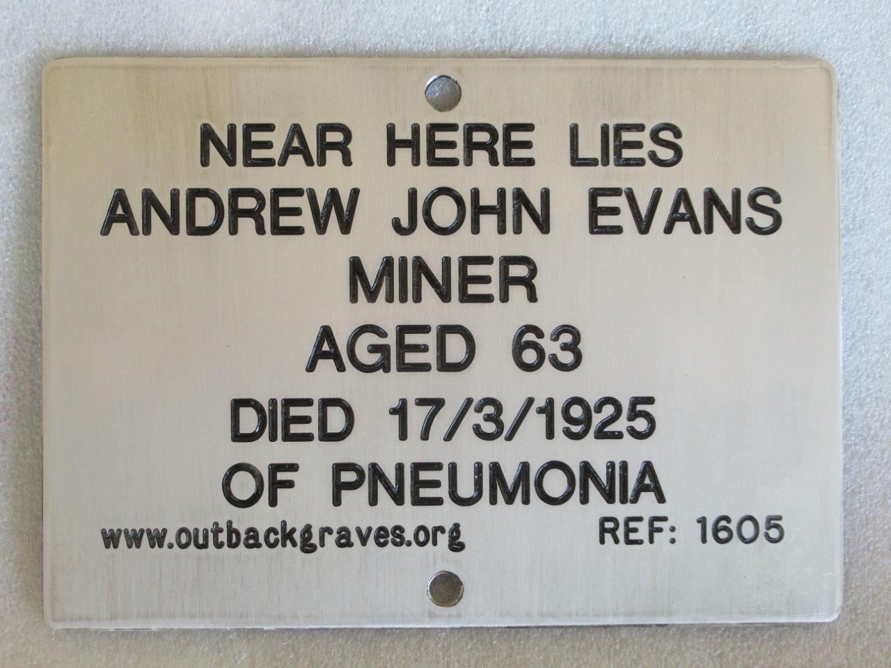 This is a photograph of plaque number 1605 for ANDREW JOHN EVANS at MULLINE