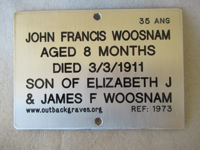This is a photograph of plaque number 1973 for JOHN FRANCES WOOSNAM at KOOKYNIE