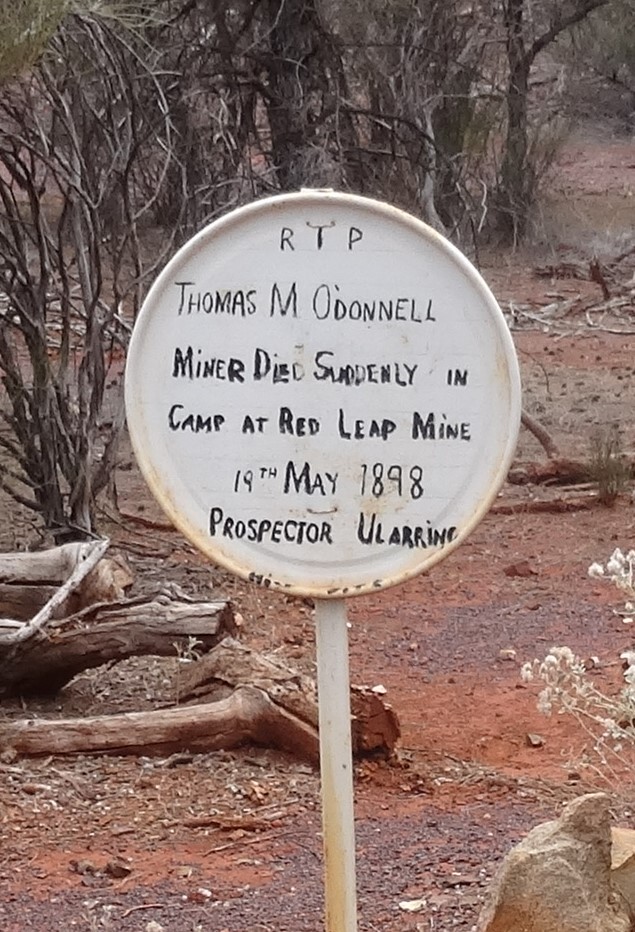 This is a copy of the sign near grave of Thomas O'Donnell at Ullaring